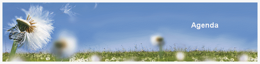 Agenda