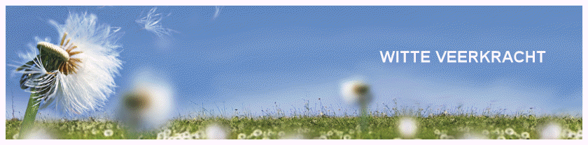 WITTE VEERKRACHT