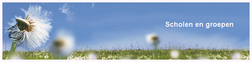 Scholen en groepen